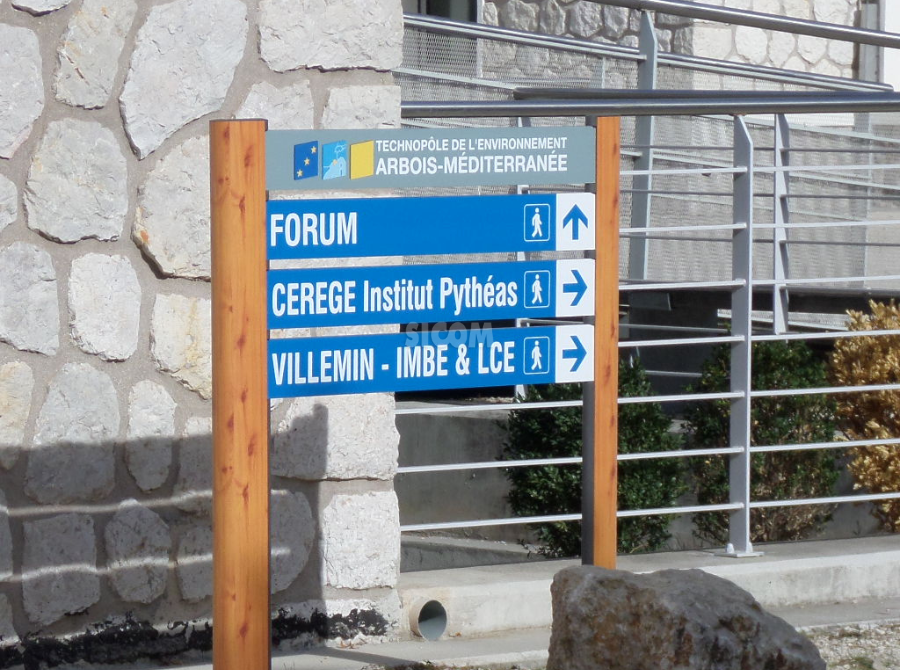 WEB PHOTO 7 e1734608062571