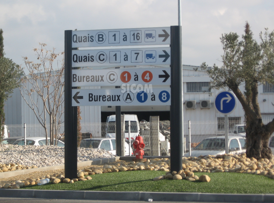 WEB PHOTO 8 e1734607940908